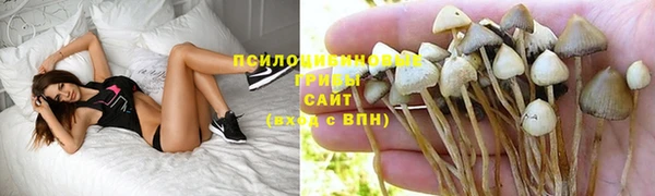 a pvp Кинешма
